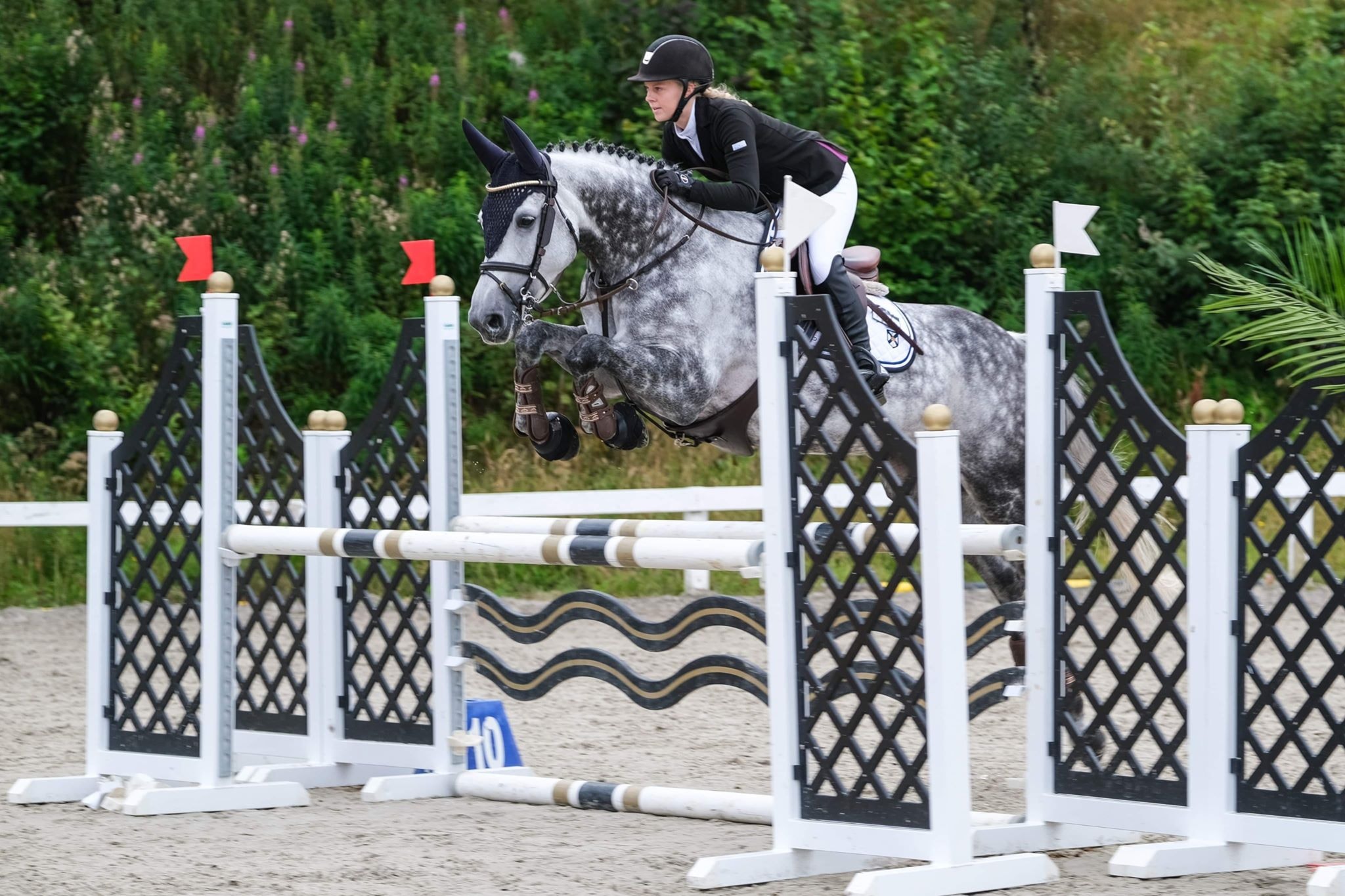L/E-stevne Sandnes og Jæren Rideklubb 23-25.august 2019